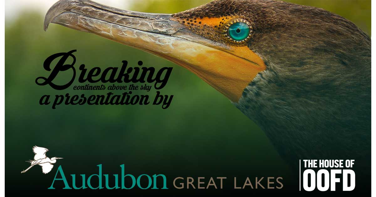 Chicago Bike Tours. History Nature and Adventure with Great Lakes Audubon